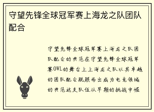 守望先锋全球冠军赛上海龙之队团队配合