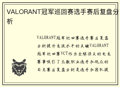 VALORANT冠军巡回赛选手赛后复盘分析