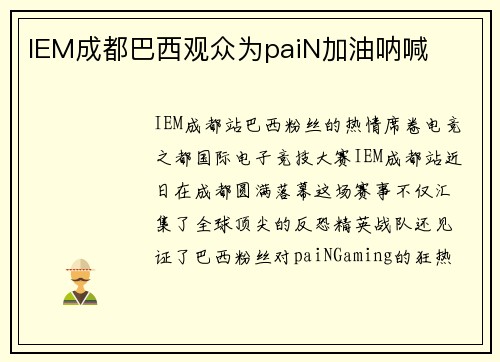 IEM成都巴西观众为paiN加油呐喊