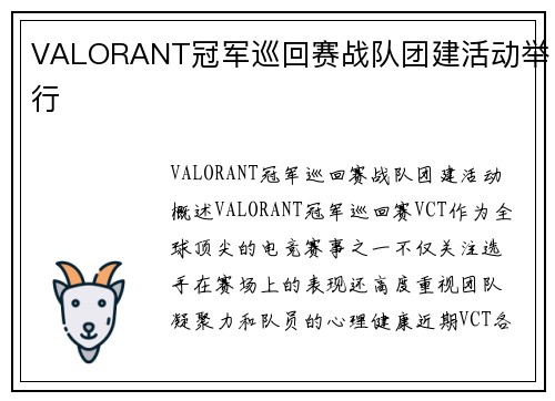 VALORANT冠军巡回赛战队团建活动举行