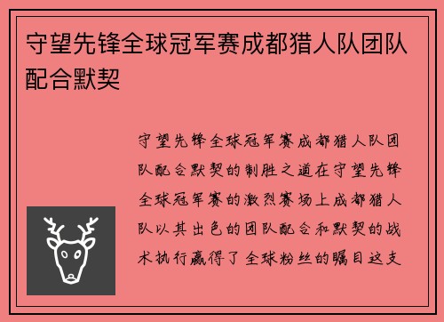 守望先锋全球冠军赛成都猎人队团队配合默契