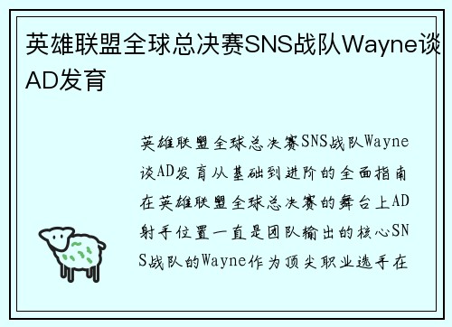 英雄联盟全球总决赛SNS战队Wayne谈AD发育