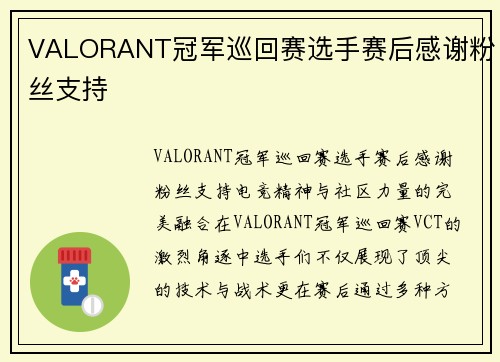 VALORANT冠军巡回赛选手赛后感谢粉丝支持